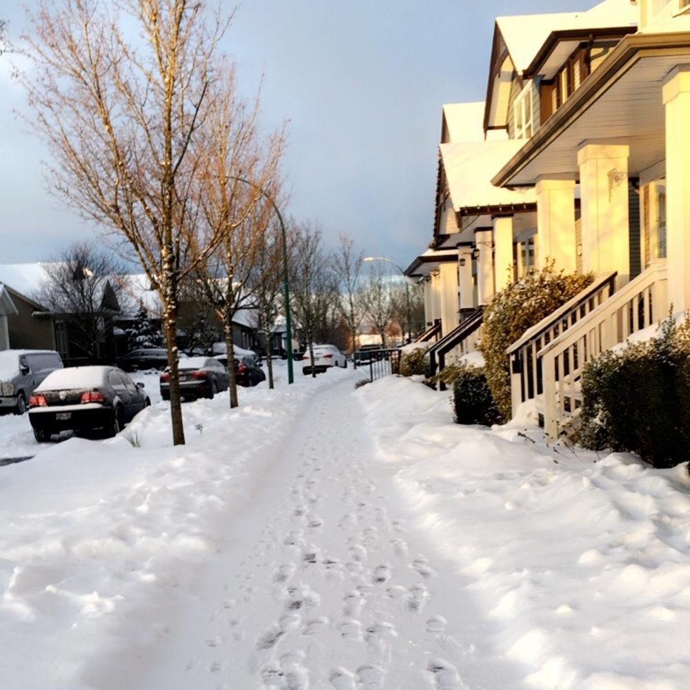 Meet your Posher, Alyssa